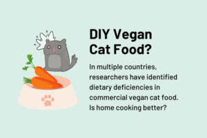 DIY Vegan Cat Food