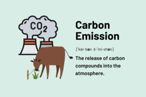 Definition of Carbon Emission