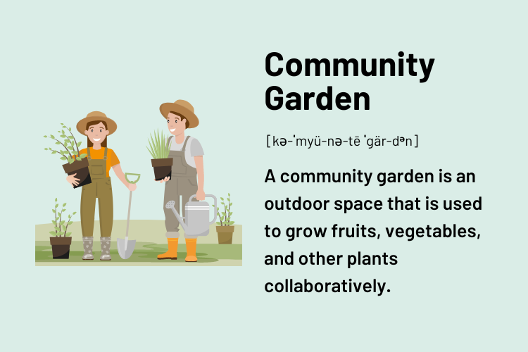 Definition of Community Garden