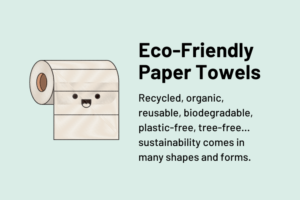 Eco-Friendly Paper Towels