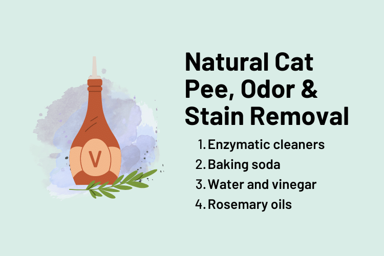 Natural Cat Pee, Odor & Stain Removal