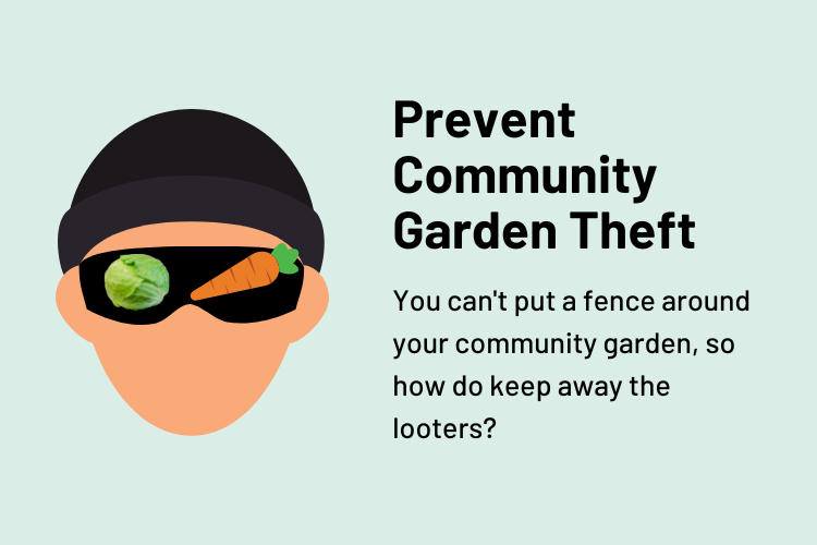Prevent Community Garden Theft