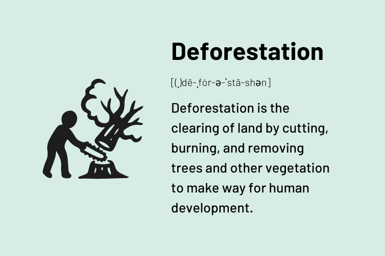 Definition of Deforestation