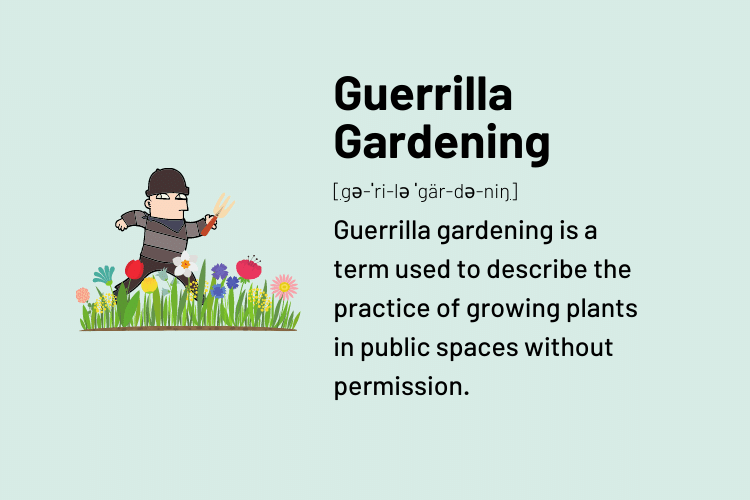 Definition of Guerrilla Gardening