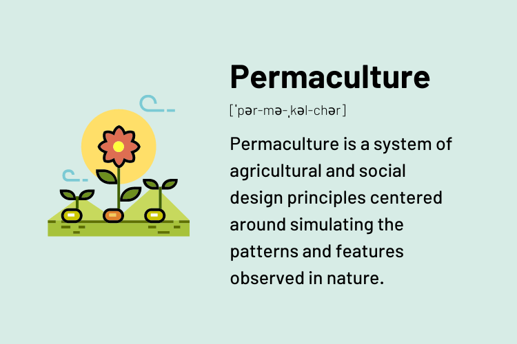 Definition of Permaculture