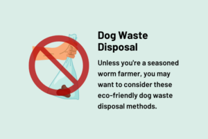 Eco-Friendly Dog Waste Disposal