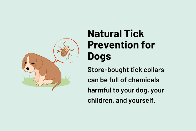 Natural Tick Prevention for Dogs