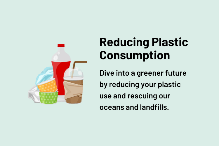 Reducing Plastic Consumption